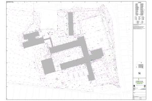 topographical survey CAD